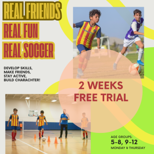 2 Weeks Free Trial